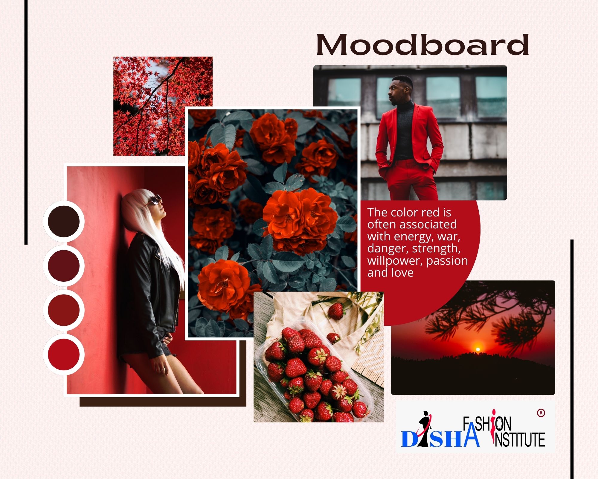 Fashion Mood Board Created in Canva